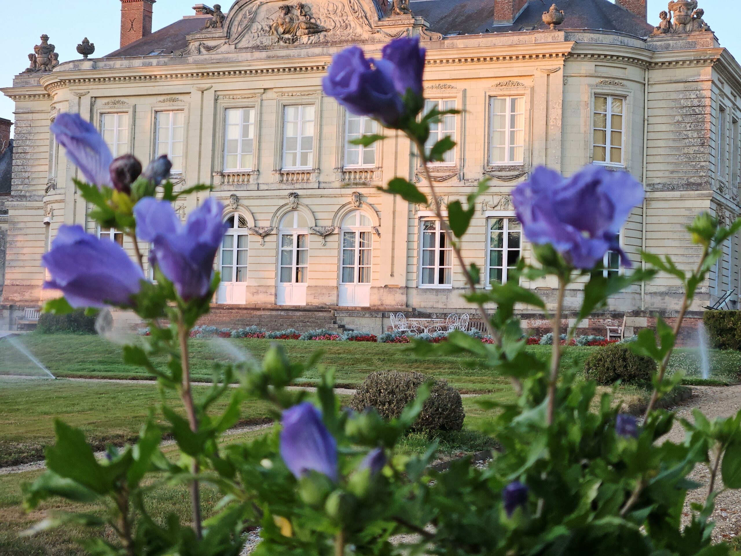 Visites
