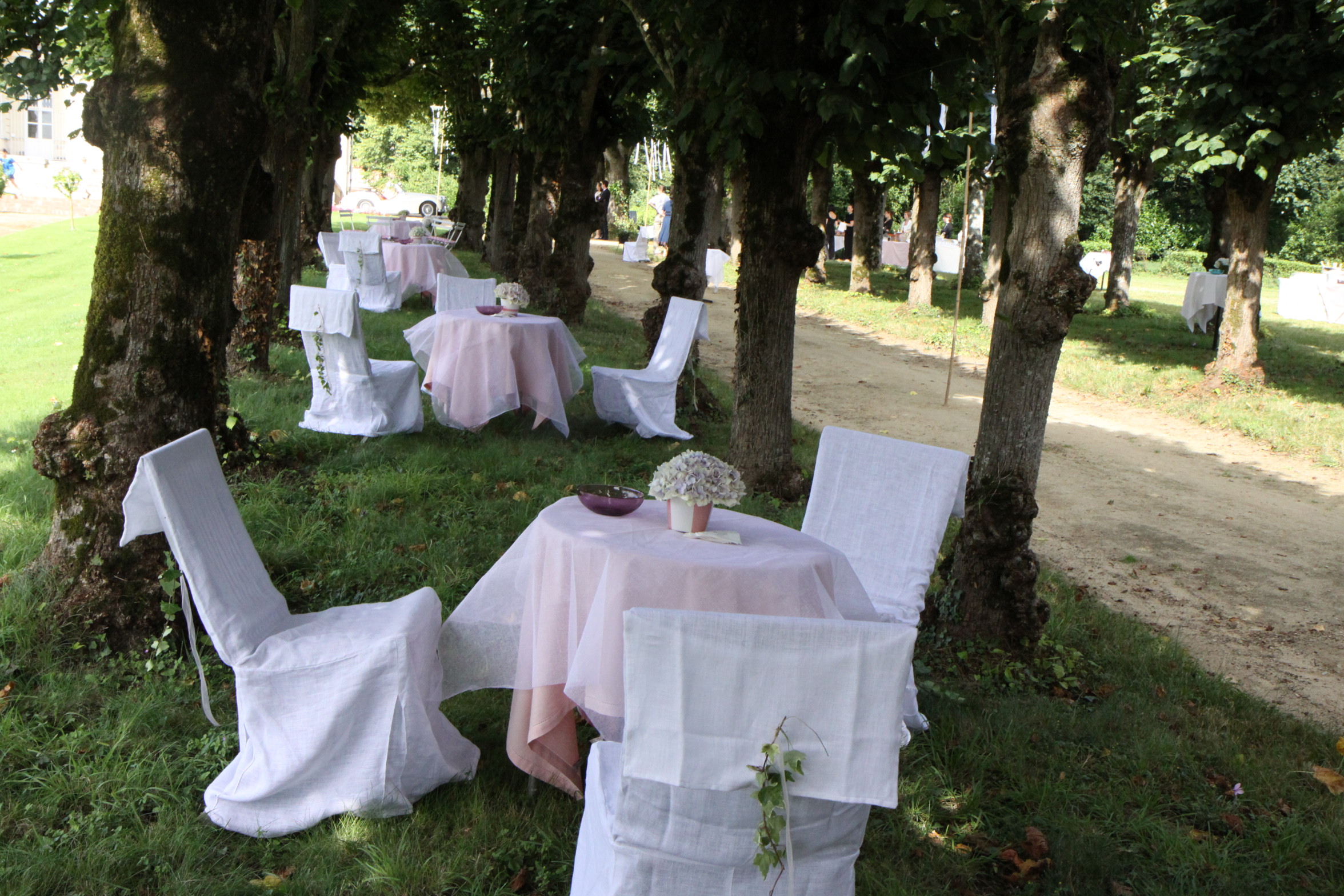 coktail sous les tilleuls